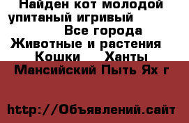 Найден кот,молодой упитаный игривый 12.03.2017 - Все города Животные и растения » Кошки   . Ханты-Мансийский,Пыть-Ях г.